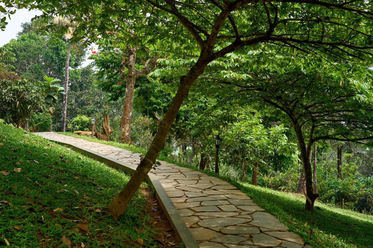 Haze And Kites Resort Муннар Экстерьер фото